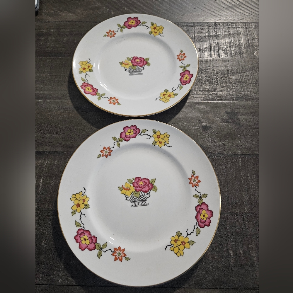 Vintage set of 2 Staffordshire Flower Basket Salad Plates